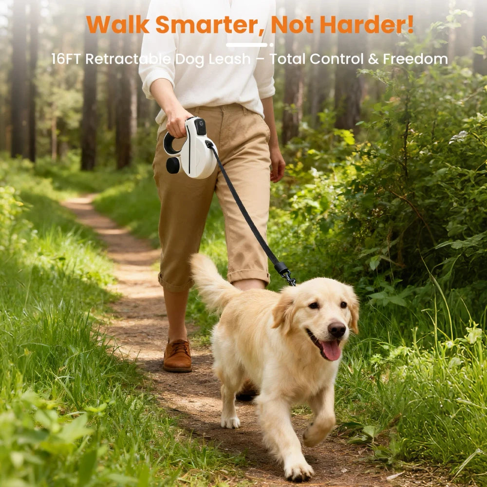 Retractable LED Dog Leash